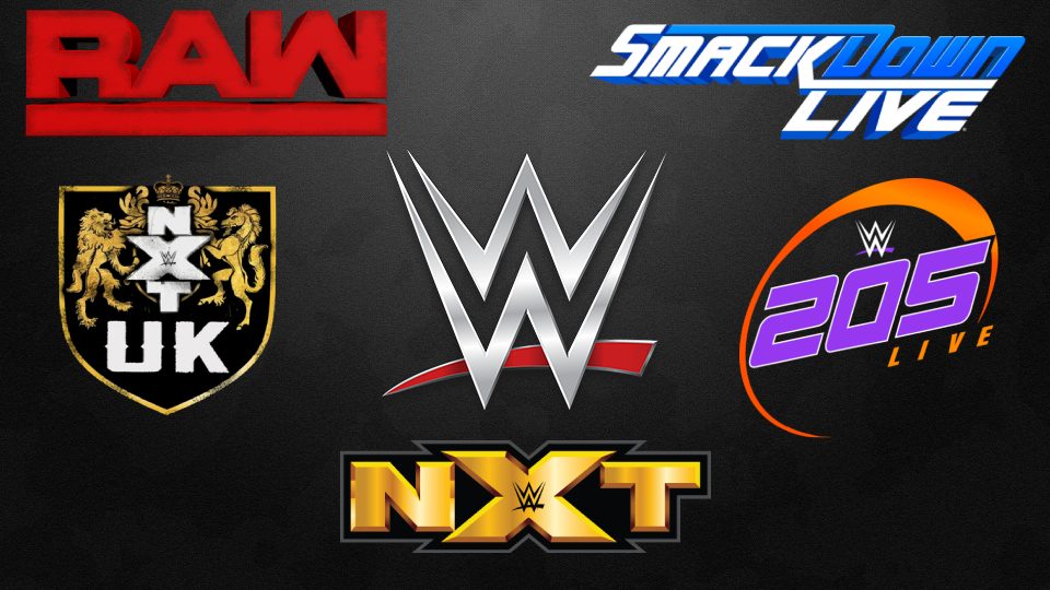 Post Superstar Shake-Up Complete WWE Roster Overview