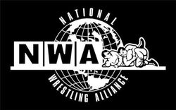 Former NWA Star Confirms She Is Now A Free Agent