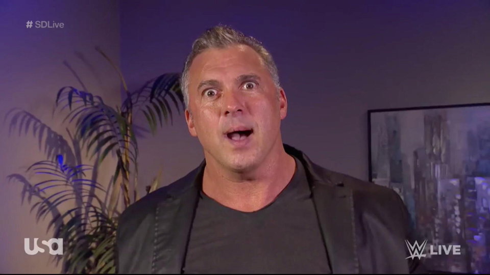 Shane McMahon ‘Doesn’t Know How To Wrestle’ Says Ex-WWE Star