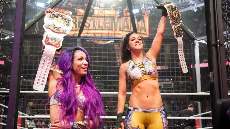 WWE Elimination Chamber 2019 Live Results