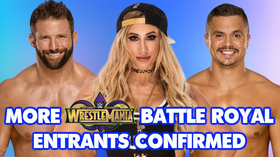 Updated WrestleMania 34 Battle Royal Fields