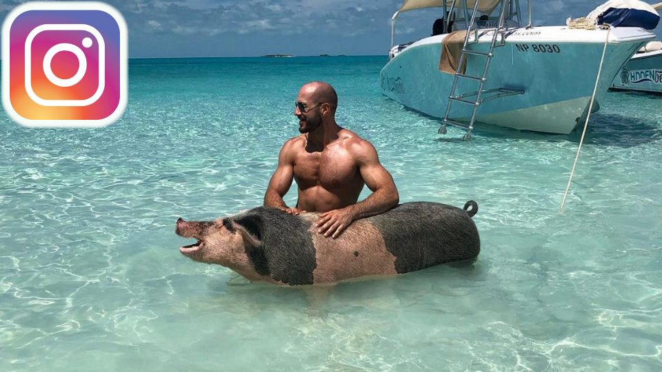 Most Intriguing Instagram Posts Of The Week #21
