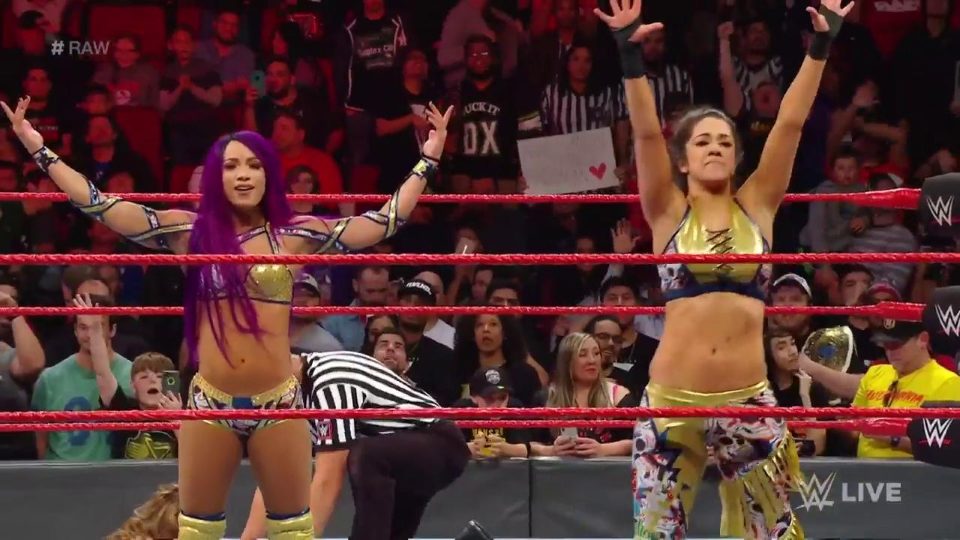 Women’s Tag Team Championships Announced