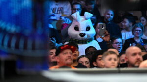 Triple H Discusses 'White Rabbit' Mysteries Prior To Bray Wyatt's WWE Return