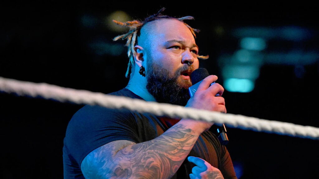 Update On Bray Wyatt WWE Action Figures