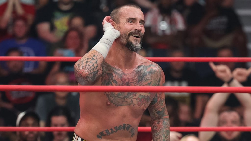 WWE Name Believes CM Punk Will Land In TNA