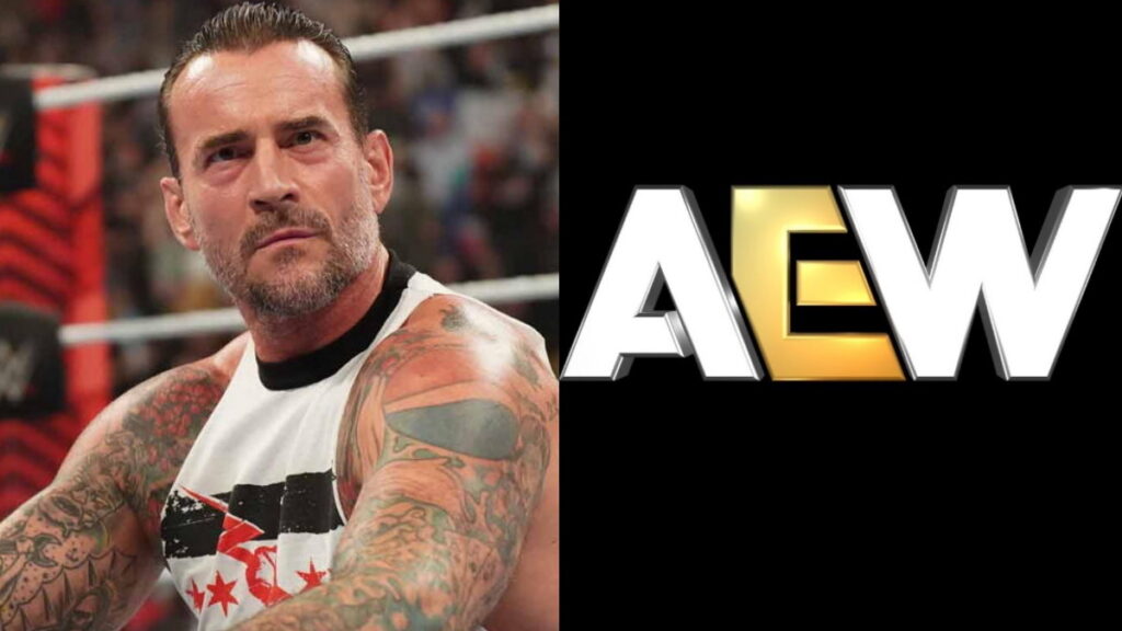 WWE ジョンシナ CMパンク サイン AEW