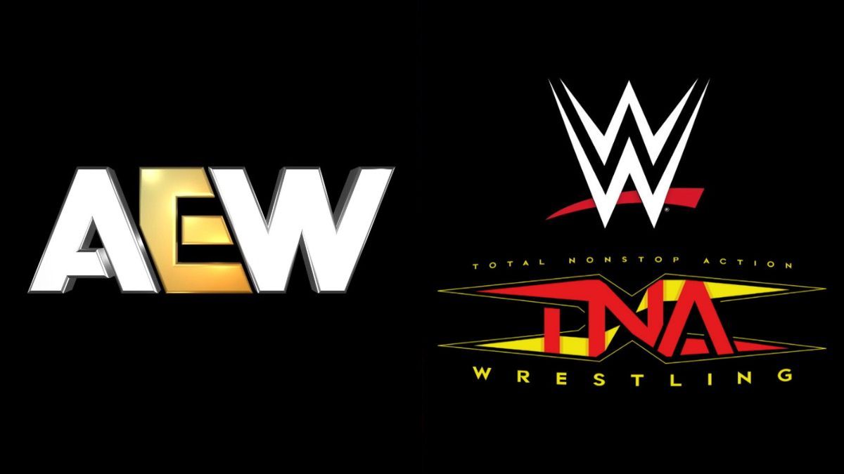 AEW Name Sends Heartfelt Message To WWE & TNA Champions