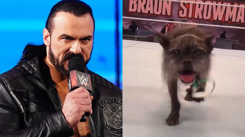 Drew McIntyre Responds To Clip Of CM Punk’s Dog Larry At WWE Raw