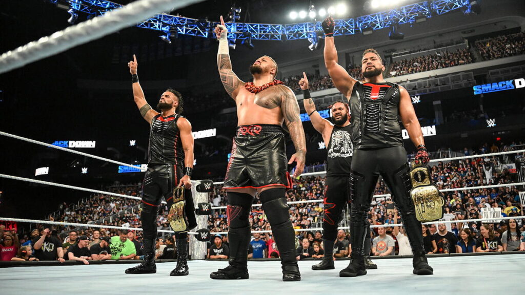WWE Move Potentially Teased By Bloodline Family Member