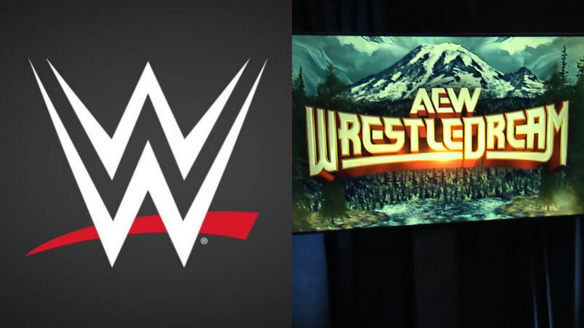 Former WWE Star Appears At AEW WrestleDream 2024