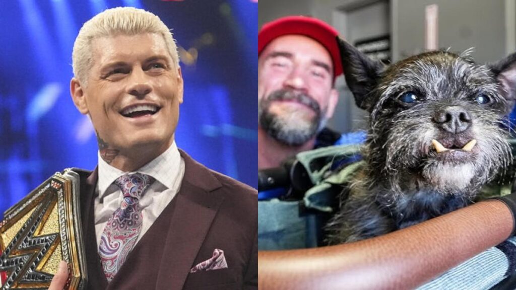 Cody Rhodes Addresses Larry Merchandise Sales Outdrawing Some WWE Stars Reports