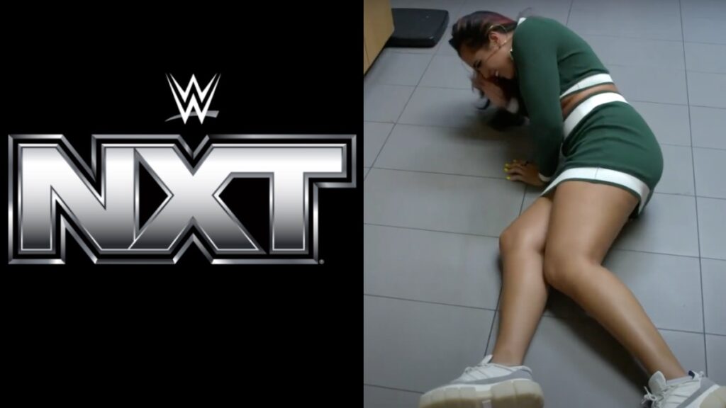 WWE Star Reacts To ‘Accident’ With Ava On NXT