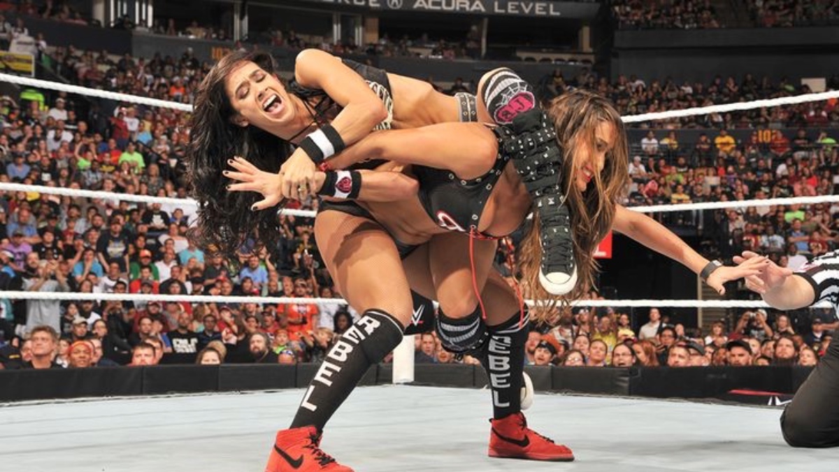WWE's AJ Lee vs. Nikki Bella