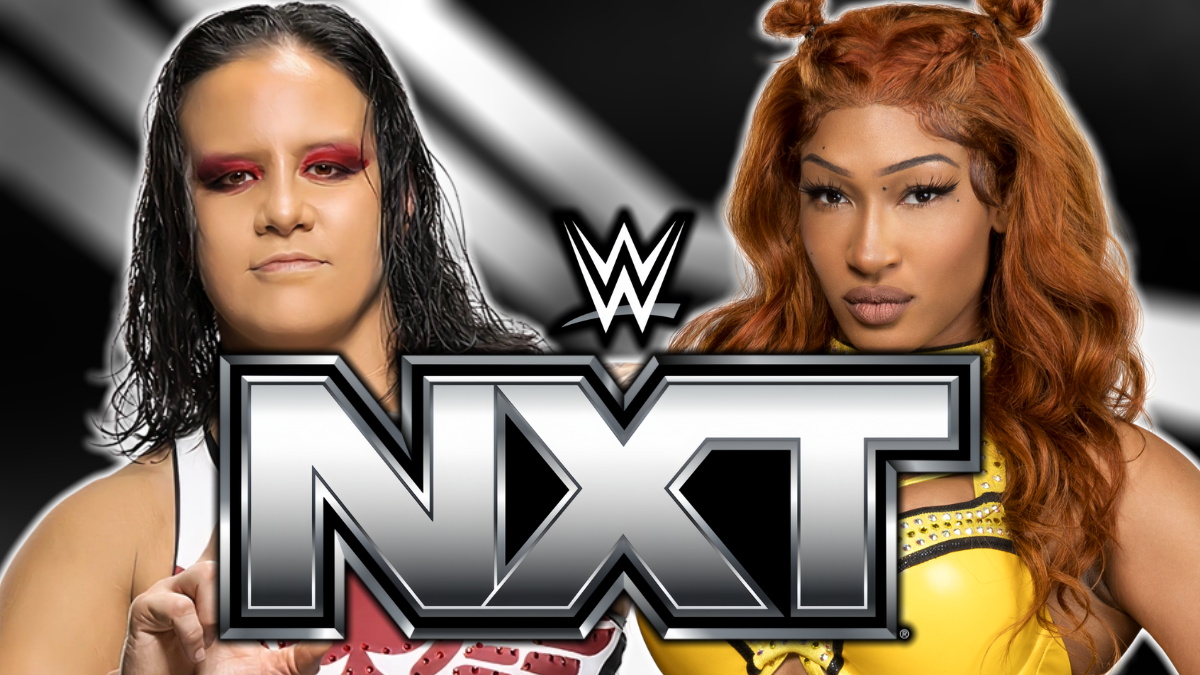 Released WWE Stars To Return To NXT