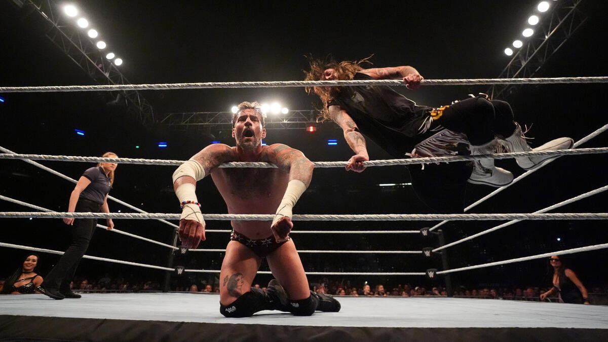 6 Matches To Be Added To WWE AAA Worlds Collide Chicago