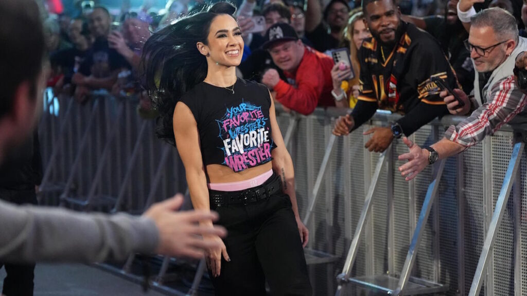 AJ Lee Opens Up On Taking Part In WWE WarGames Match