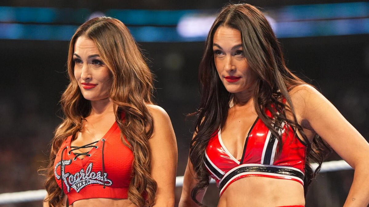 Nikki & Brie Bella in WWE. They are the Bella Twins