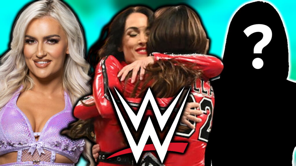 Bella Twins WWE Retirement Plans