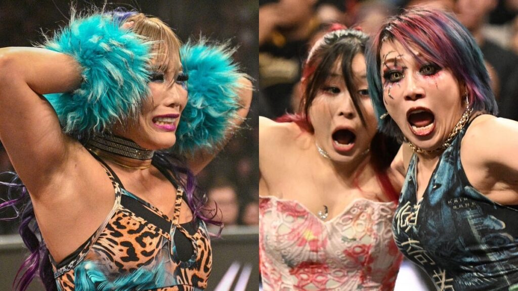 IYO SKY Calls Out Asuka Over Treatment Of WWE Tag Partner Kairi Sane