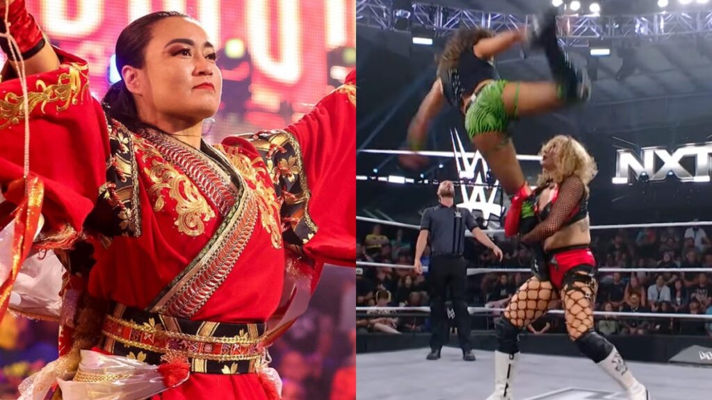 Lizzy Rain WWE Finishing Move Inspired By Meiko Satomura