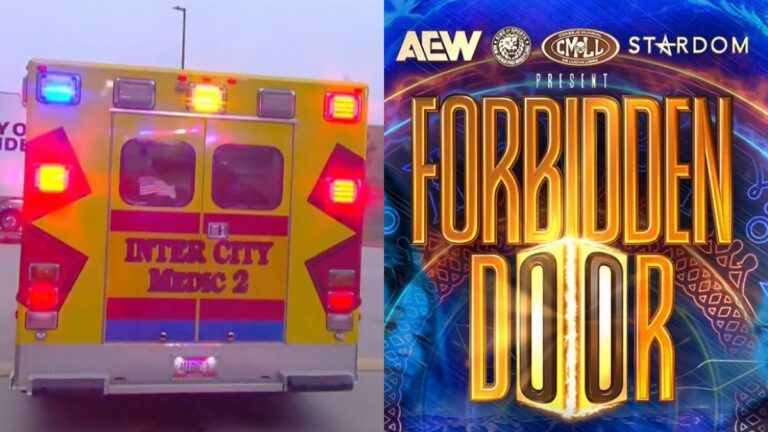 Injured Star Teases AEW Return After Scrapped Forbidden Door Appearance
