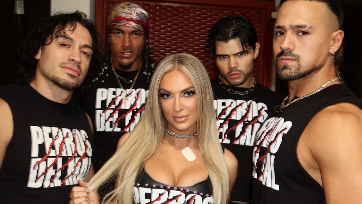 WWE AAA's Los Perros Del Mal