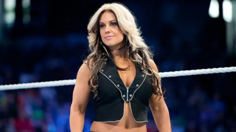 Former Divas Champion Kaitlyn Open To WWE Return: ‘It Would Make A Lot Of Sense’