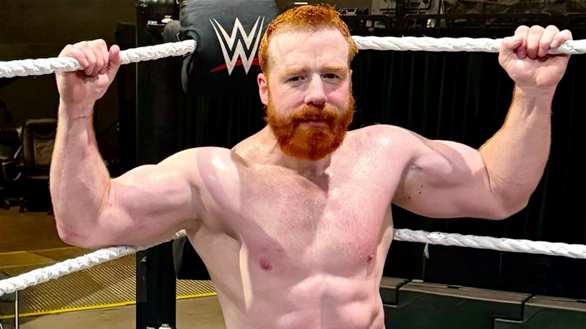 Sheamus and the attrition rate of WWE mainstays