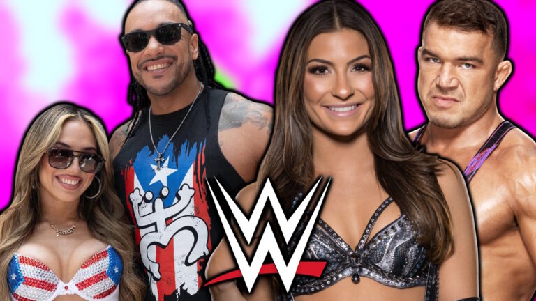 7 New WWE Mixed Tag Teams