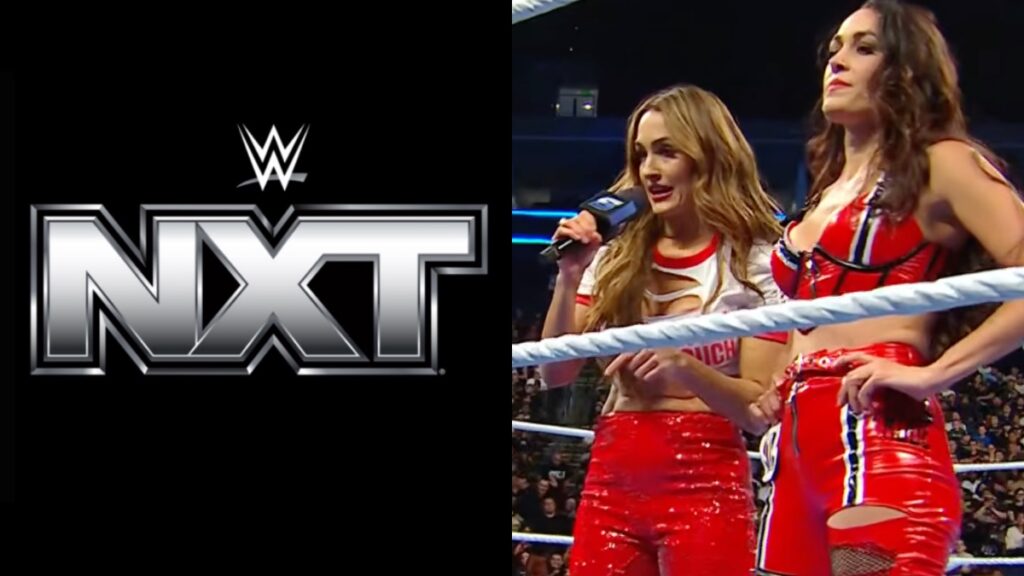 Nikki Bella Responds To Fan Criticism Over WWE NXT Remark On SmackDown